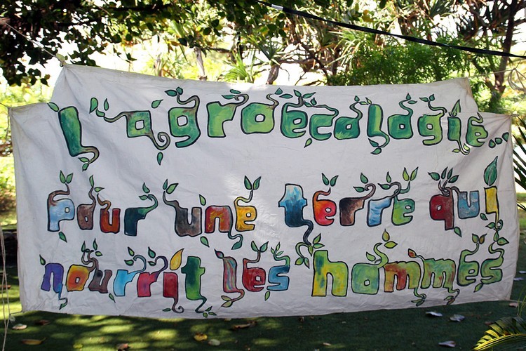 alternatiba-pei-ile-reunion-05