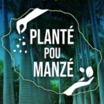 Planté pou Manzé 974