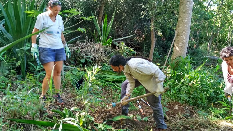 jardin-partage-ile-reunion-019