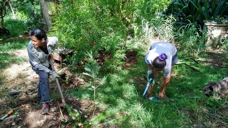 jardin-partage-ile-reunion-024