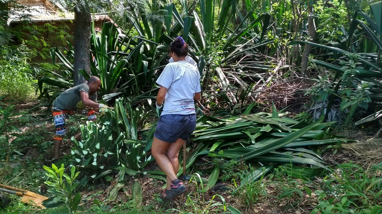 jardin-partage-ile-reunion-026