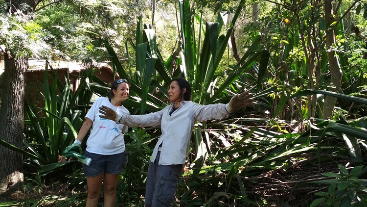 jardin-partage-ile-reunion-030