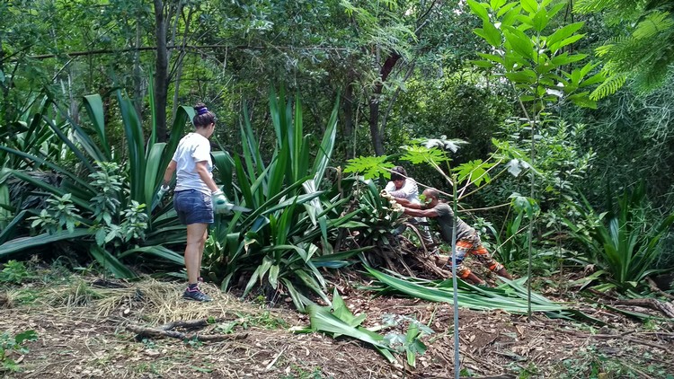 jardin-partage-ile-reunion-034