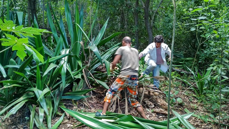 jardin-partage-ile-reunion-038