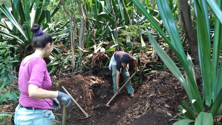 jardin-partage-ile-reunion-047