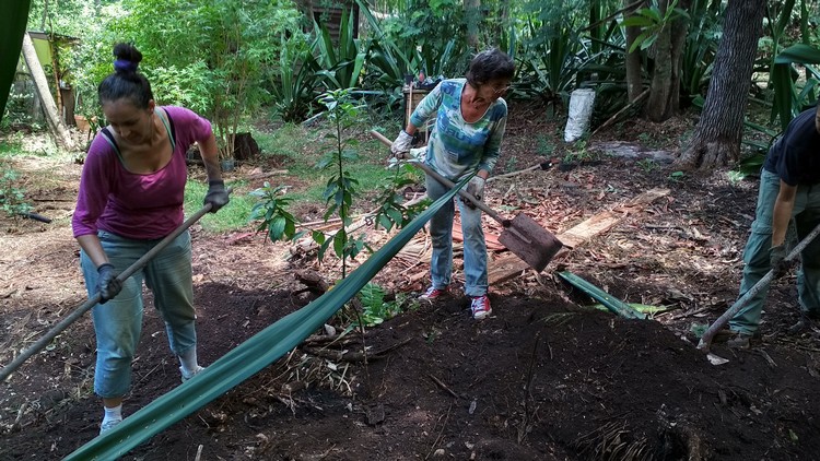 jardin-partage-ile-reunion-055