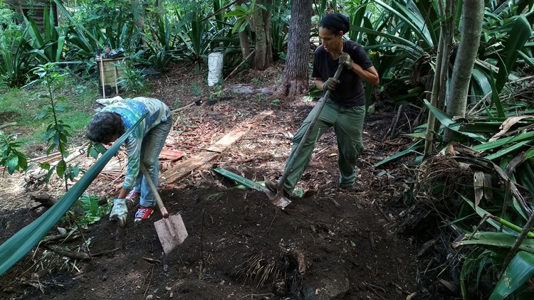 jardin-partage-ile-reunion-057