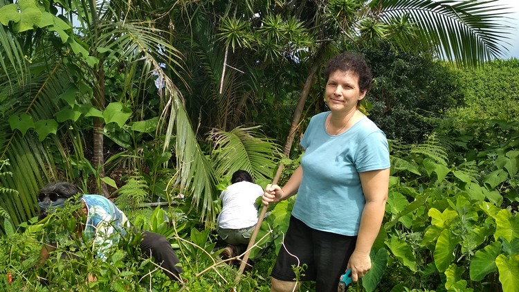 jardin-partage-ile-reunion-064