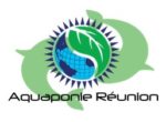 Aquaponie ile Réunion
