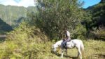 Ferme Equestre de Grand Etang