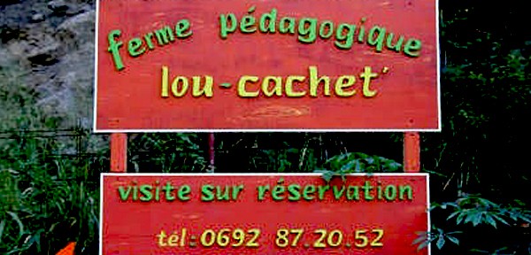 ferme-pedagogique-ile-reunion-loucachet008