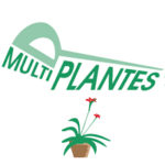 Pépinière Multi Plantes