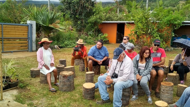 plantes-medicinales-ile-reunion-franswatiberes057