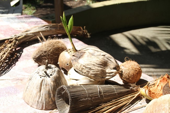 maison-coco-ile-reunion-produitspei007