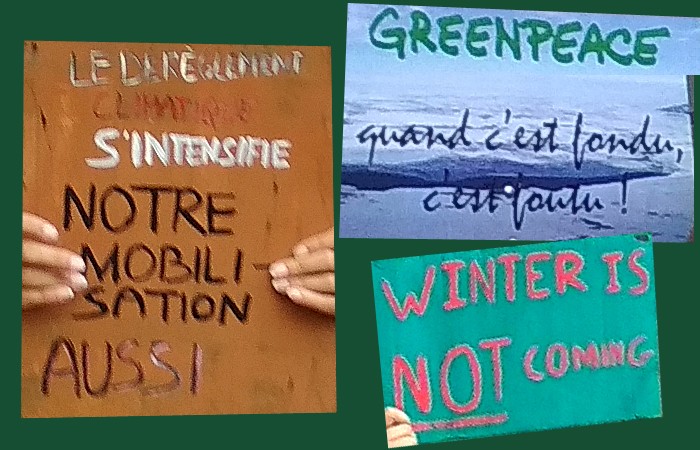 marche-climat-ile-reunion-2019-046