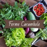 La Ferme Carambole