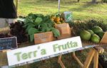 Terra Frutta Producteur BIO Saint Joseph
