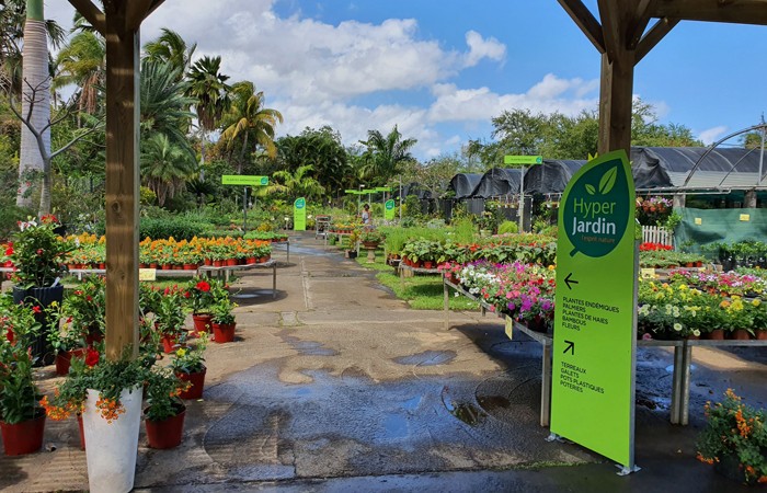 Collection plantes mellifères (10 sachets) - Le jardin des vie-la-joie