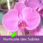 Horticole des Sables