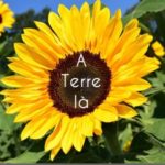 A Terre là