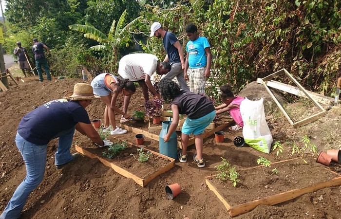 jardin-collectif-ile-reunion-tiplanteur005