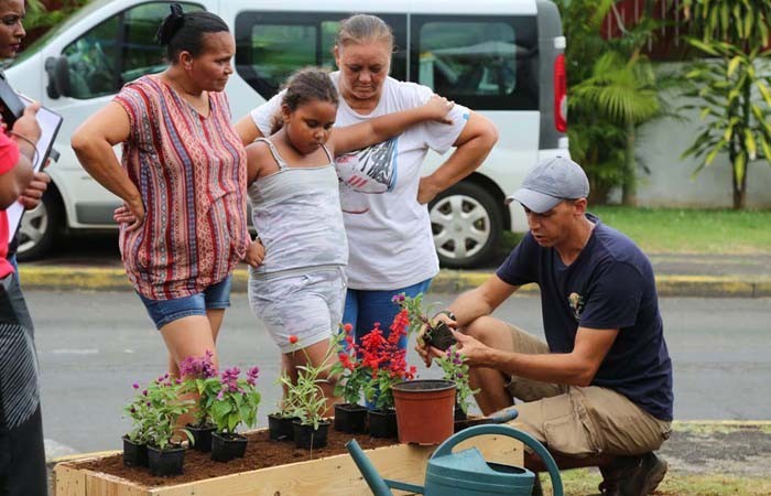 jardin-collectif-ile-reunion-tiplanteur007