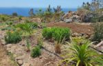 Endémia Jardin pédagogique à La Réunion