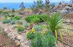 Endémia Jardin pédagogique à La Réunion