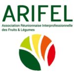 Arifel