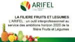 Arifel