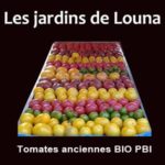 Les Jardins de Louna Tomates anciennes Réunion